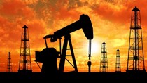 Giá dầu thế giới giảm xuống mức thấp nhất trong 7 năm qua