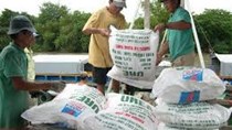 Nhập khẩu phân bón tăng về lượng nhưng giảm kim ngạch