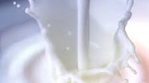 Chỉ số giá sữa toàn cầu tăng 