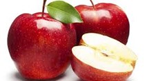 Những biện pháp khắc phục tình trạng suy giảm sản lượng táo tại Ấn Độ