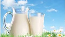 Giá sữa toàn cầu tăng phiên thứ hai liên tiếp