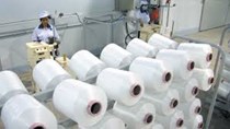Nhà máy sợi Vinatex Nam Định có đơn hàng xuất khẩu sang Thổ Nhĩ Kỳ