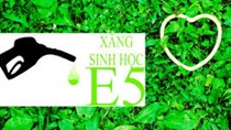 Những điều cần biết về xăng sinh học E5, liệu có thay thế được RON 92?