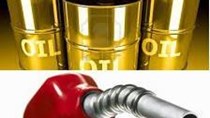 TT năng lượng tuần đến ngày  21/5: Giá xăng điều chỉnh tăng