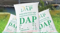 Nhà máy phân bón DAP số 2: Góp phần chủ động nguồn cung phân bón DAP