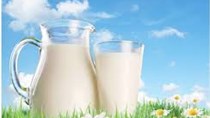 Sản lượng sữa và sản phẩm tại EU tăng