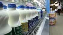 Triển vọng của ngành sữa Việt Nam