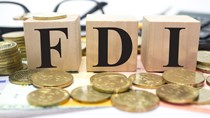 FDI với sự phát triển không đều giữa các địa phương