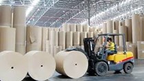 Kim ngạch xuất khẩu giấy  và sản phẩm từ giấy tiếp tục tăng trường 