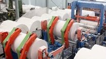 APP trở lại kế hoạch mở rộng sản xuất giấy tissue ở Indonesia khi đặt mua 8 máy xeo l
