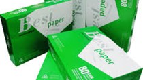 Sản phẩm giấy xuất xứ từ các nước châu Á chiếm tỷ trọng lớn 