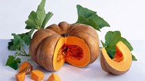 Giá bí đỏ giảm mặc dù nguồn cung thiếu hụt 