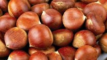 TT trái cây: Hạt dẻ Trùng Khánh vào mùa, măng cụt Lái Thiêu tự tin xuất ngoại 