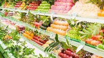 TT rau quả: Tháng 6/2019 giá biến động, xuất khẩu vượt mốc 2 tỷ USD