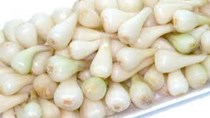 Bình Định: củ kiệu giá tăng mạnh