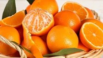 TT trái cây tuần qua: Biến động tăng/giảm tùy theo từng chủng loại