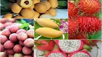 Phát triển ngành trái cây - Bài 1: Thị trường rộng mở