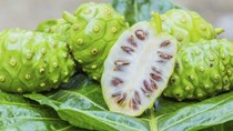 Giá trái nhàu giảm mạnh sau thời gian tăng nóng 