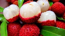 TT Trái cây tuần qua: Vải thiều và sầu riêng giá tăng cao, mít Thái giảm mạnh