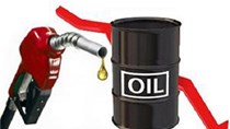 TT năng lượng tuần qua:Giá xăng ổn định, dầu thế giới giảm sau 7 tuần  tăng liên tiếp
