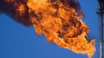 TT khí gas tuần qua: Biến động trái chiều