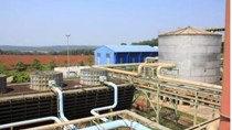Chuẩn bị khởi động lại Nhà máy sản xuất nhiên liệu sinh học Bình Phước