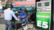 TP. Hồ Chí Minh: Tiêu thụ xăng E5 tăng nhanh