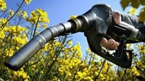 Mỹ áp thuế chống bán phá giá đối với nhiên liệu sinh học của Argentina