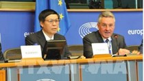 Thúc đẩy các bước tiến tới ký và phê chuẩn Hiệp định Thương mại tự do Việt Nam - EU