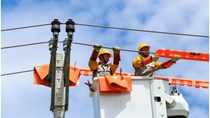 PC Hà Nam: Đảm bảo cấp điện an toàn, ổn định cho khu vực nông thôn