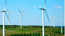 Đề xuất tăng giá mua điện gió đến năm 2020