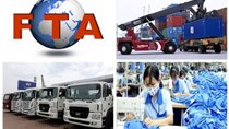 Tận dụng các ưu đãi FTA: Khai thông cánh cửa xuất khẩu