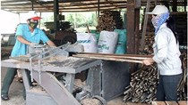 Khuyến công Đà Nẵng: Tập trung cho sản xuất sạch hơn 