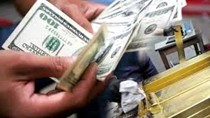 Thị trường ngoại hối không có áp lực trong các tháng cuối năm