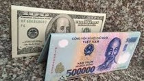 TT ngoại tệ ngày 6/1/2018: Tỷ giá trung tâm không đổi, USD quốc tế tăng trở lại