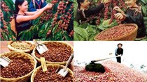 Nhập khẩu thực phẩm của Algeria tăng trong 9 tháng đầu năm 2017 
