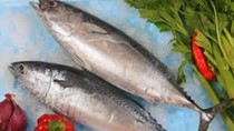 Cá ngừ Việt Nam là mặt hàng xuất khẩu tiềm năng sang Israel