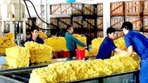 7 tháng đầu năm kim ngạch xuất khẩu cao su của Việt Nam tăng 58,4% 