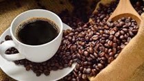 TT Cà phê ngày 7/11/2018: Giá trong nước và xuất khẩu đều giảm