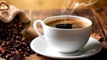 Nửa đầu tháng 8/2019, xuất khẩu cà phê ảm đạm