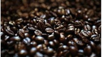 Xuất khẩu cà phê sang Algeria tăng mạnh