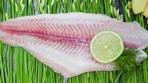 Giá cá tra bán tại Đức đạt mức cao trên 220.000 đồng/kg