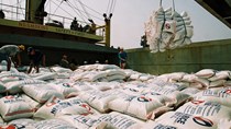 DN xuất khẩu gạo: Khai phá thị trường mới