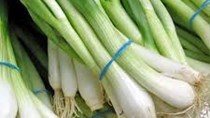 Trong đợt nắng nóng, giá rau củ quả tăng 5 -10%