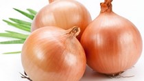 TT rau quả tuần qua: Giá hành tây trên thế giới tăng mạnh