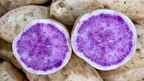 Khoai lang trắng ruột tím xuất xứ từ Australia giá gấp hơn 10 lần so với khoai Việt