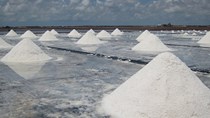 Giá muối giảm mặc dù sản lượng thấp