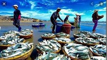 TT thủy sản nửa đầu tháng 10/2019: Giá biến động
