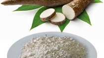 Xuất khẩu sắn và sản phẩm: Lượng suy giảm nhưng kim ngạch tăng trưởng