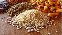 TT thức ăn chăn nuôi và nguyên liệu: Giá biến động tùy theo từng chủng loại